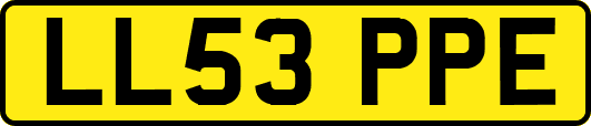 LL53PPE