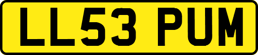 LL53PUM