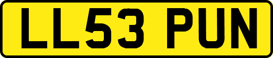 LL53PUN