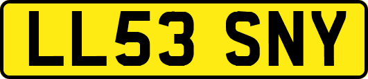 LL53SNY