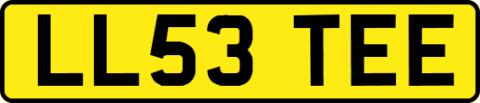 LL53TEE