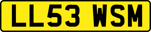 LL53WSM