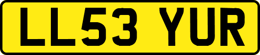 LL53YUR