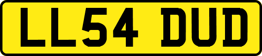 LL54DUD