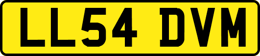 LL54DVM