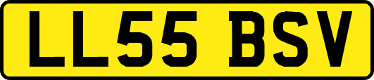 LL55BSV