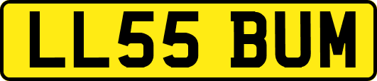 LL55BUM
