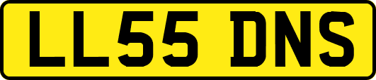 LL55DNS