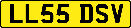 LL55DSV