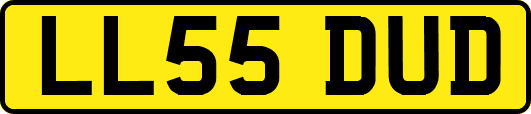 LL55DUD