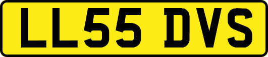 LL55DVS