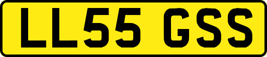 LL55GSS