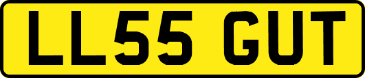 LL55GUT