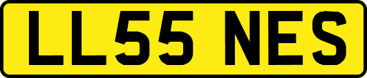 LL55NES