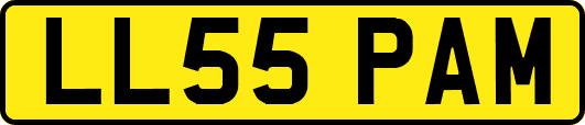 LL55PAM