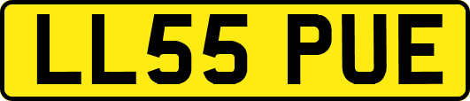 LL55PUE