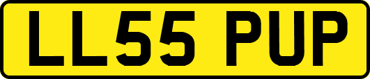 LL55PUP