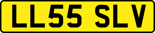 LL55SLV