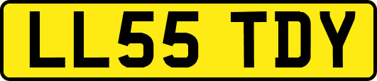 LL55TDY