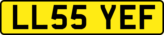 LL55YEF