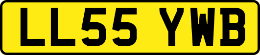 LL55YWB