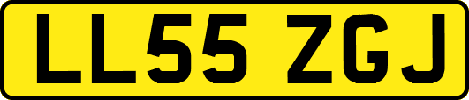 LL55ZGJ