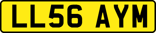LL56AYM