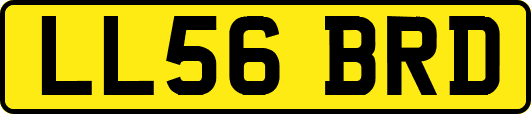 LL56BRD