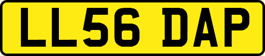 LL56DAP