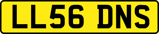 LL56DNS