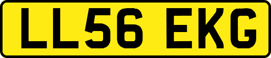 LL56EKG