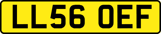 LL56OEF