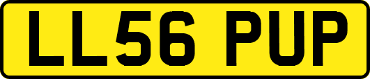 LL56PUP