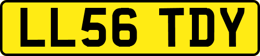 LL56TDY