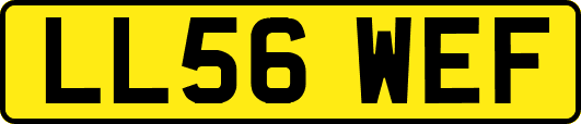 LL56WEF