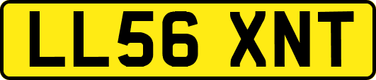 LL56XNT