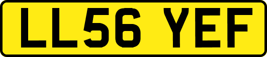 LL56YEF