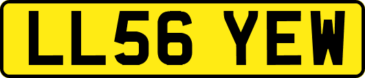LL56YEW