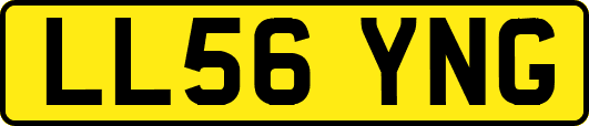 LL56YNG