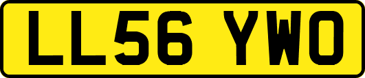 LL56YWO
