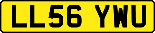 LL56YWU