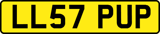 LL57PUP