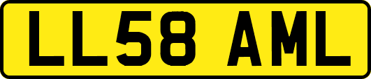 LL58AML