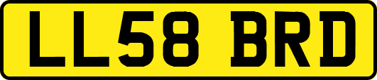 LL58BRD