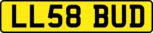 LL58BUD