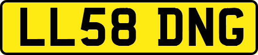 LL58DNG