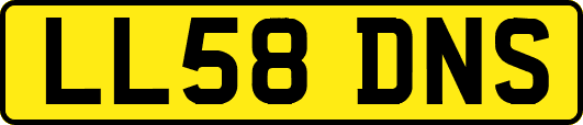 LL58DNS