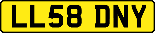 LL58DNY