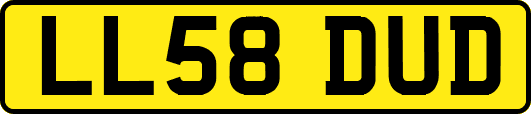 LL58DUD