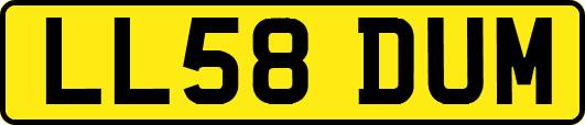 LL58DUM